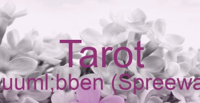 Tarot Lübben (Spreewald) | Top-Experten für Kartenlegen, Wahrsagen, Hellsehen, Zukunftsdeutung.
